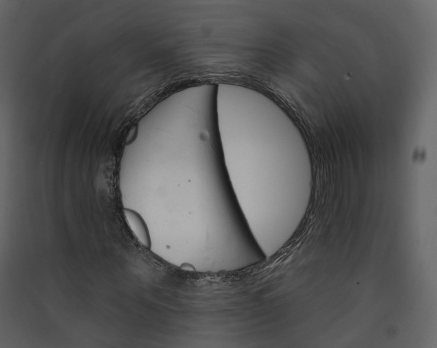 X0000089940867200707131451