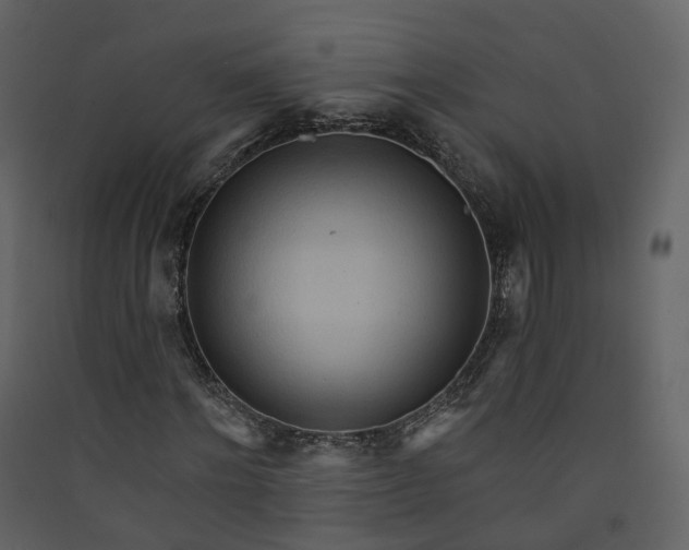 X0000089940868200707131451