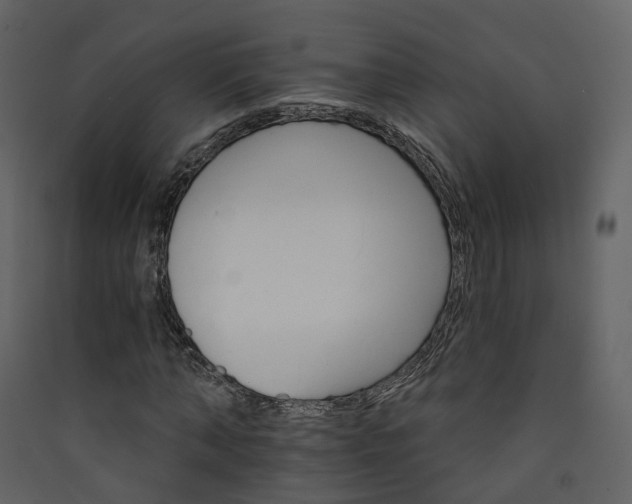 X0000089940870200707131451