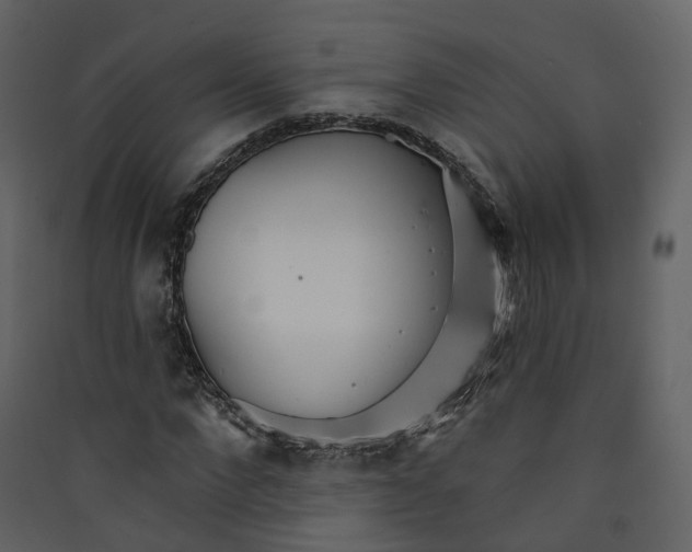 X0000089940872200707131451