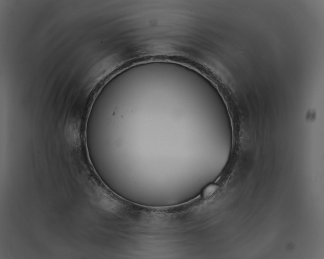 X0000089940873200707131451