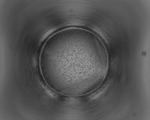 X0000089940874200707131451