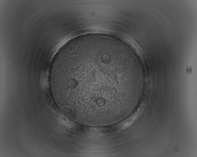 X0000089940875200707131451