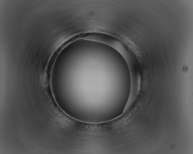 X0000089940876200707131451