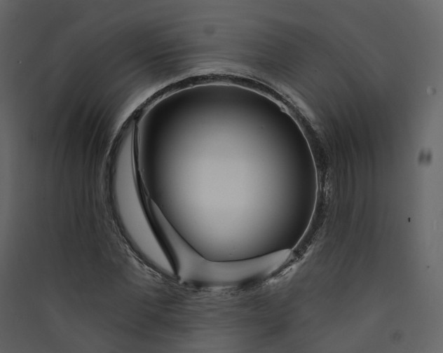 X0000089940877200707131451