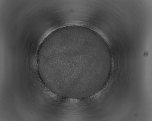 X0000089940878200707131451