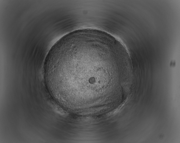 X0000089940879200707131451