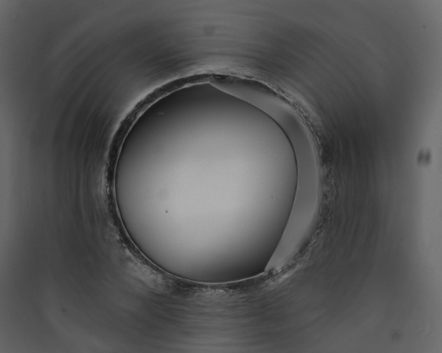 X0000089940880200707131451