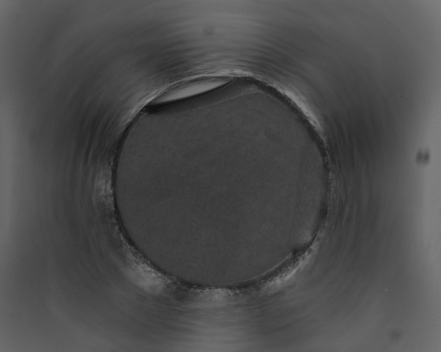 X0000089940881200707131451