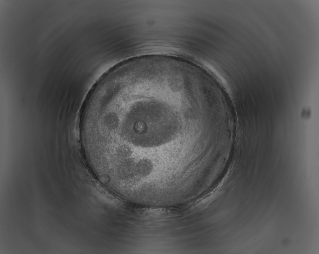 X0000089940883200707131451