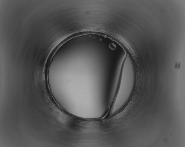 X0000089940884200707131451