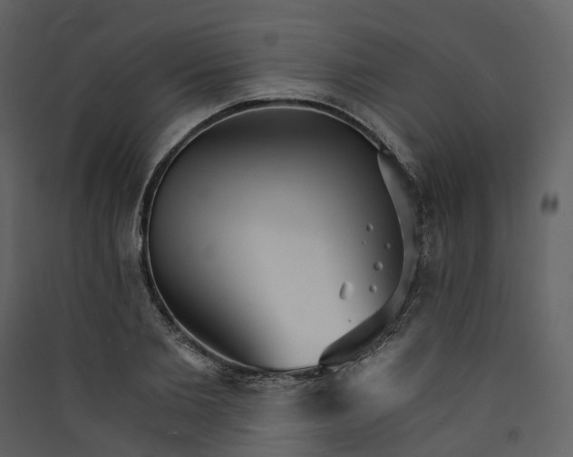 X0000089940885200707131451