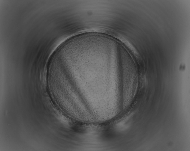 X0000089940886200707131451