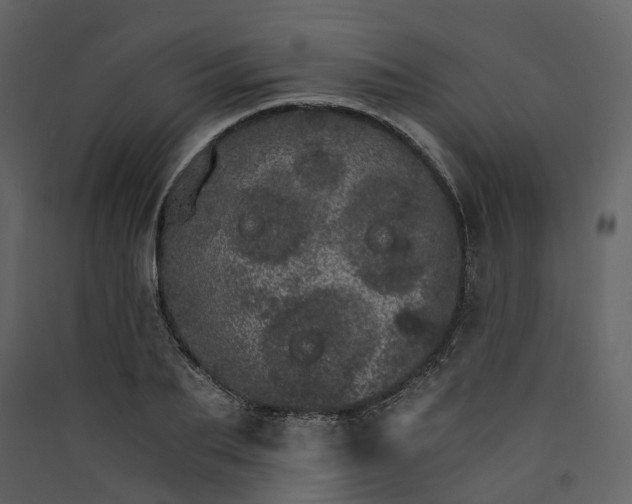 X0000089940887200707131451