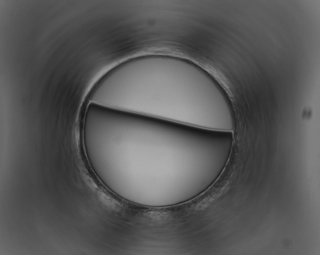 X0000089940888200707131451