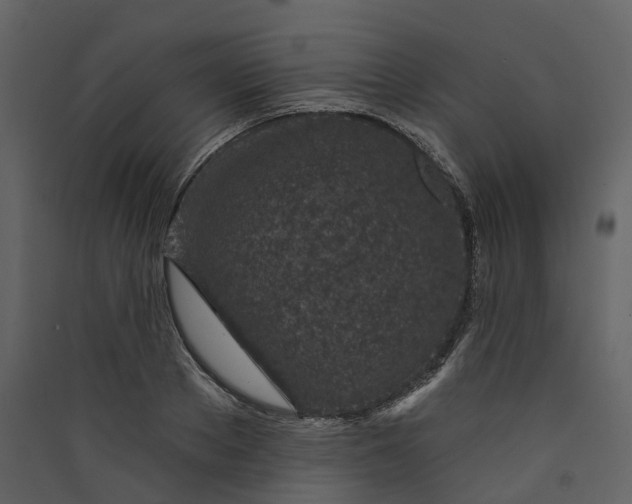 X0000089940889200707131451