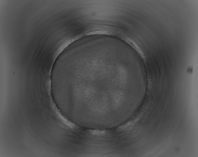 X0000089940890200707131451