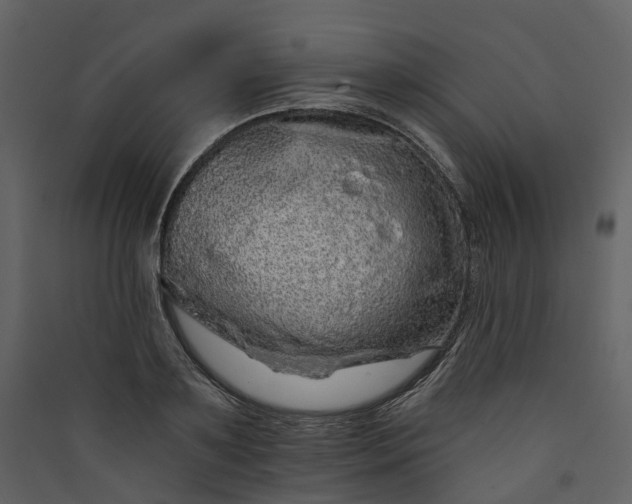 X0000089940891200707131451