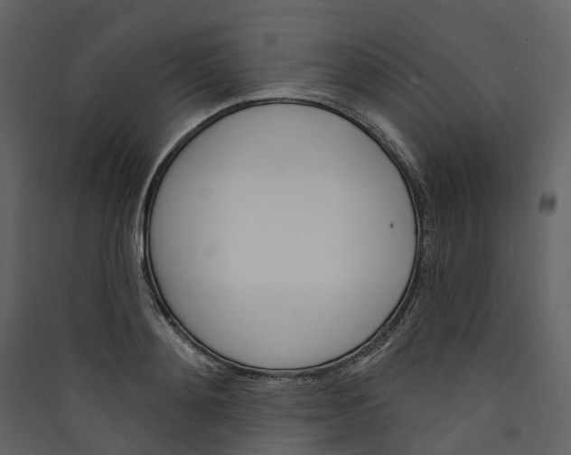 X0000089940892200707131451