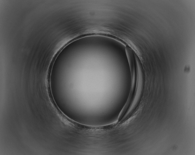 X0000089940893200707131451