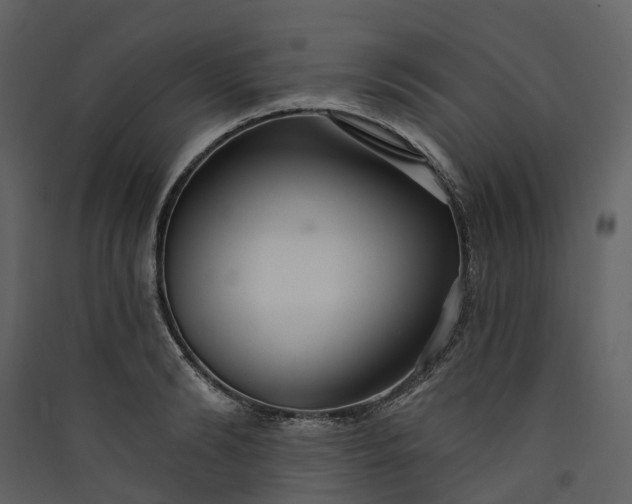 X0000089940894200707131451