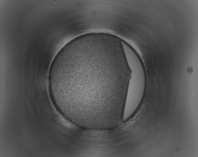 X0000089940895200707131451