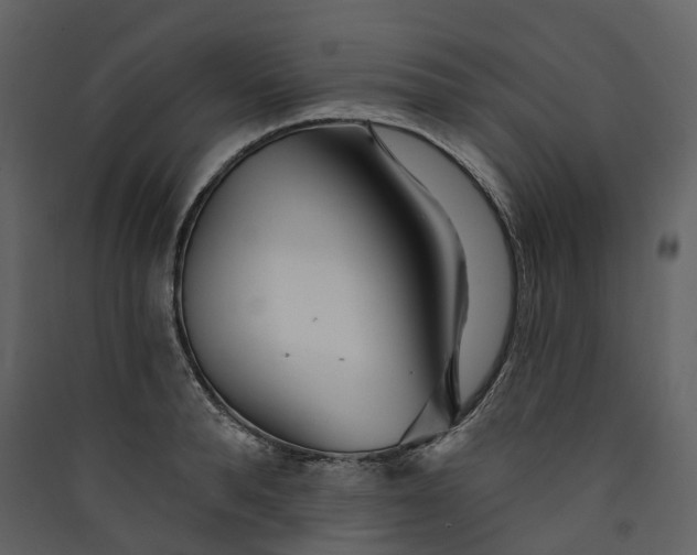 X0000089940896200707131451