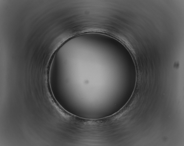 X0000089940898200707131451