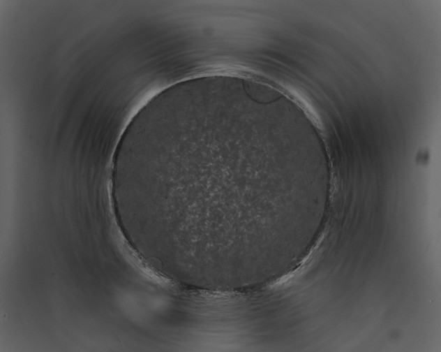 X0000089940899200707131451