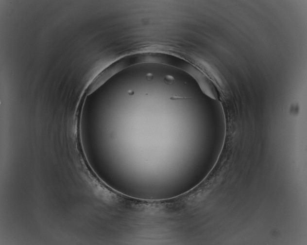 X0000089940900200707131451