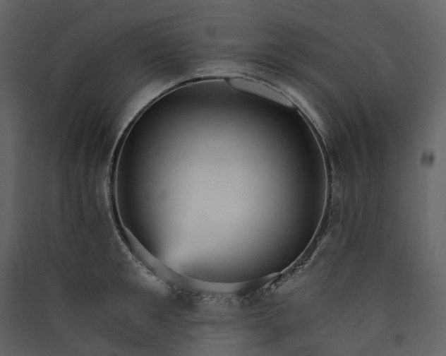 X0000089940901200707131451