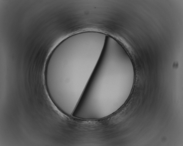 X0000089940902200707131451