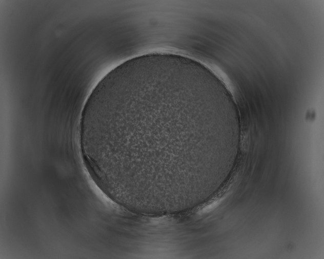 X0000089940903200707131451