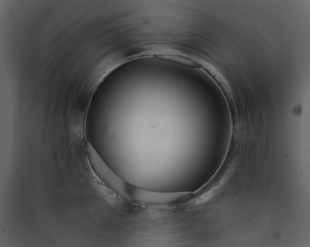 X0000089940905200707131451