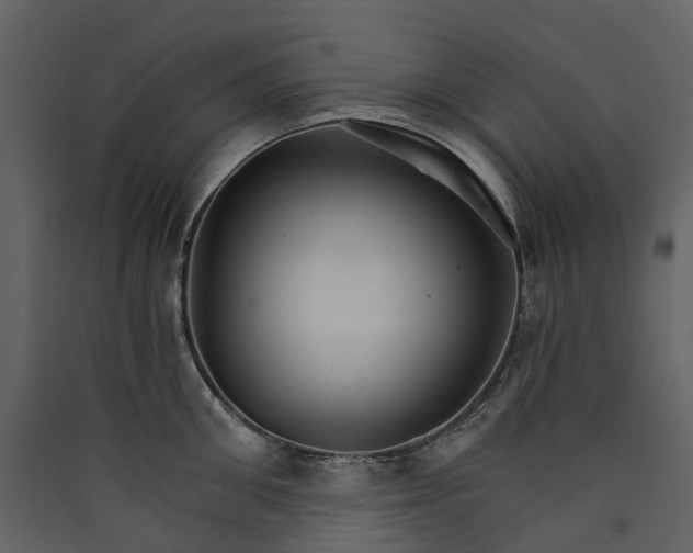 X0000089940906200707131451