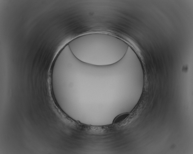 X0000089940907200707131451