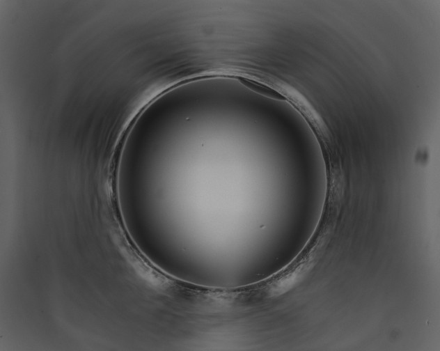 X0000089940908200707131451