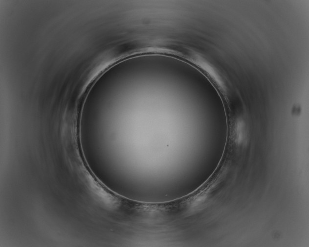 X0000089940910200707131451