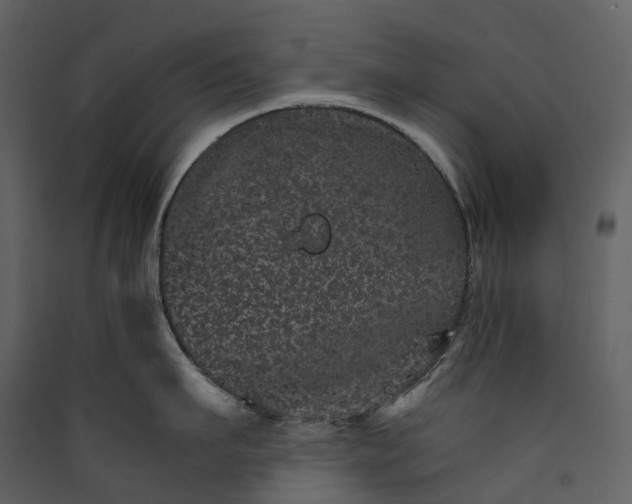 X0000089940911200707131450