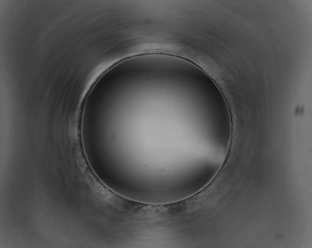 X0000089940912200707131450