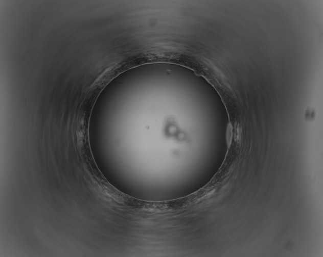 X0000089940915200707131450