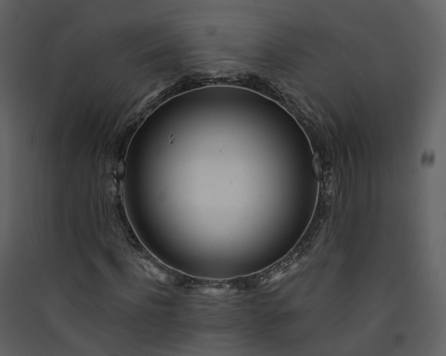 X0000089940916200707131450