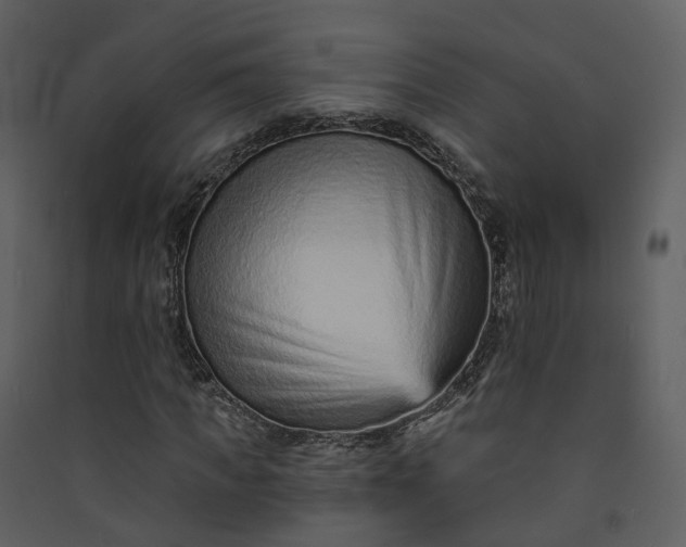 X0000089940917200707131450