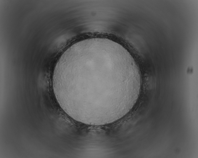 X0000089940918200707131450