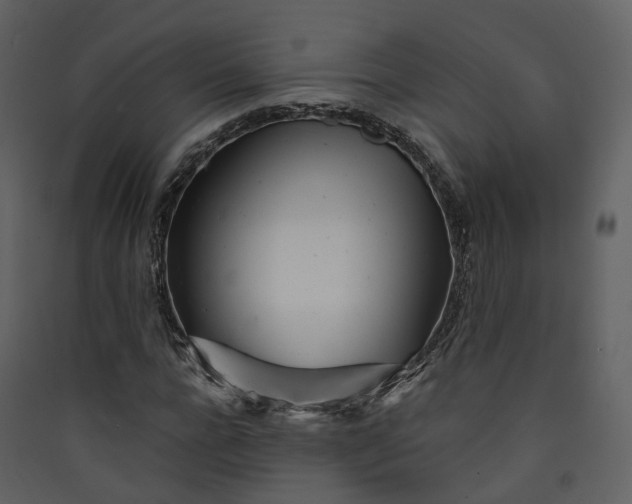 X0000089940920200707131450