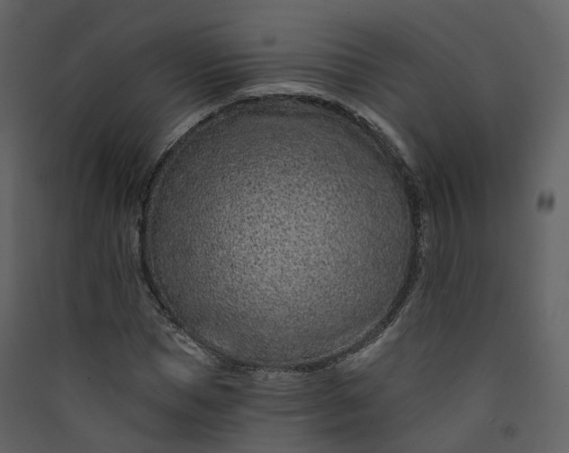 X0000089940921200707131450