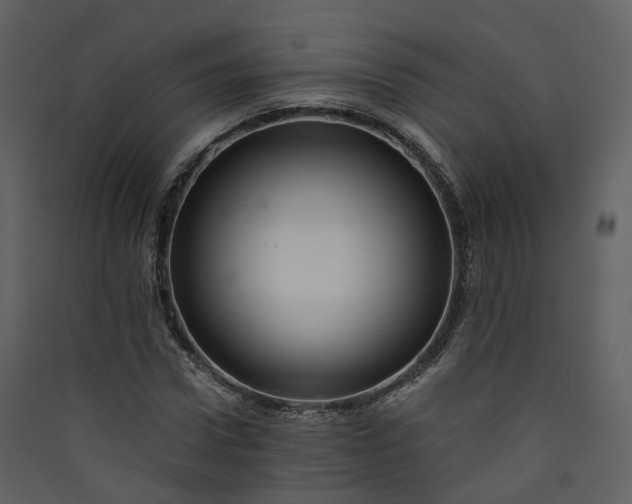 X0000089940922200707131450