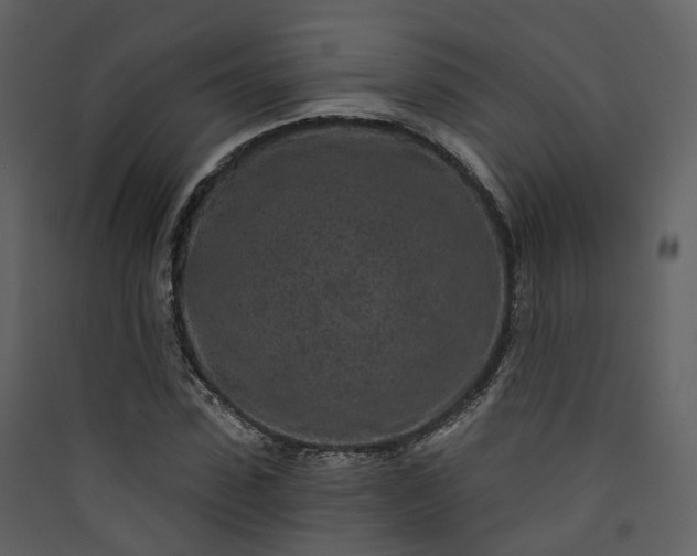 X0000089940923200707131450