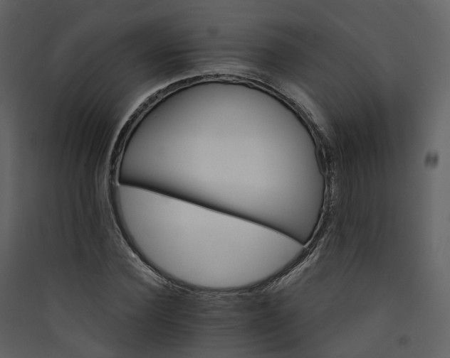 X0000089940924200707131450