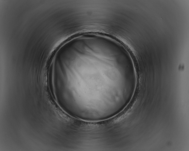 X0000089940925200707131450